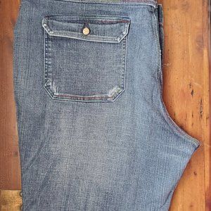 Seven Plus Denim Jeans Flare/Bootcut Size 24W EUC